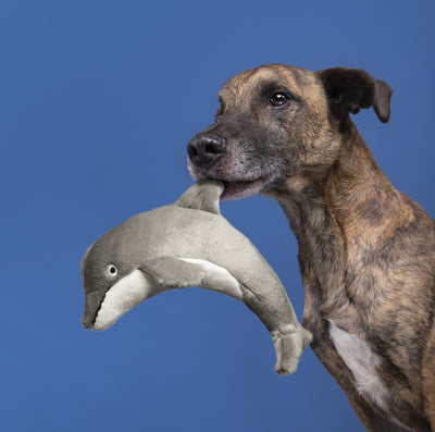 Fluff & Tuff Danny the Dolphin - durable plush toy for dogs