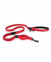 EzyDog Road Runner Shock Absorbing Leash for Dogs