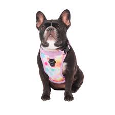 Canada Pooch Everything (Tie Dye) No-Pull Harness for Dogs