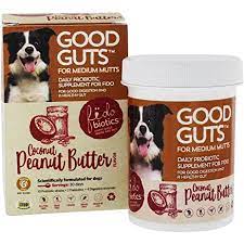 Good Guts Daily Probiotic (Coconut & PB) for Dogs