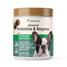 NaturVet Advanced Probiotics & Enzymes for Dogs - MADE IN USA