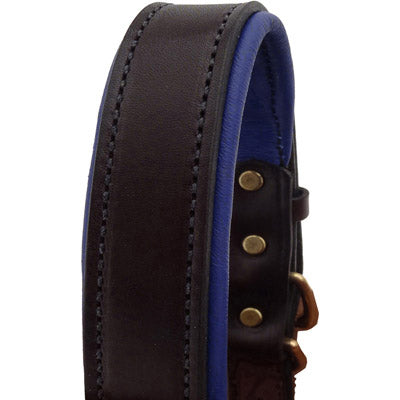 Perri's Brown Engraved Padded Leather Dog Collar- with colorful padding- USA made