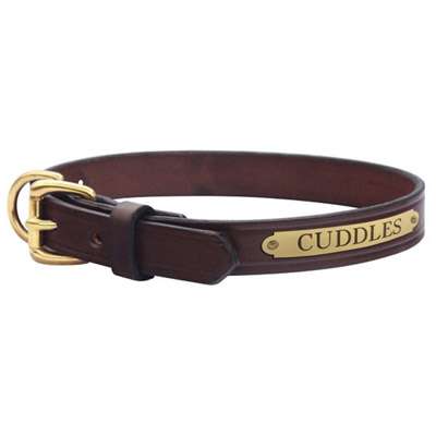 Classic Flat Leather Collar with Engraved Plate