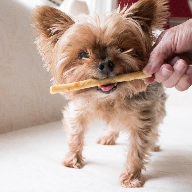 No Hide Stix - rawhide alternative chews for small dogs