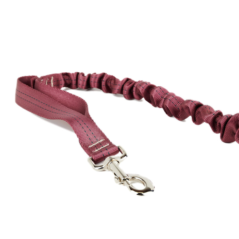 Spindrift Max Walker Stretch Bungee Dog Leash - USA made