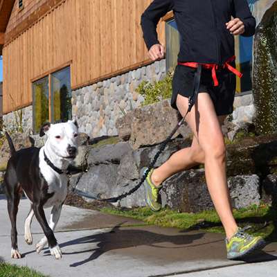 Spindrift Daisy Runner- hands free dog running belt