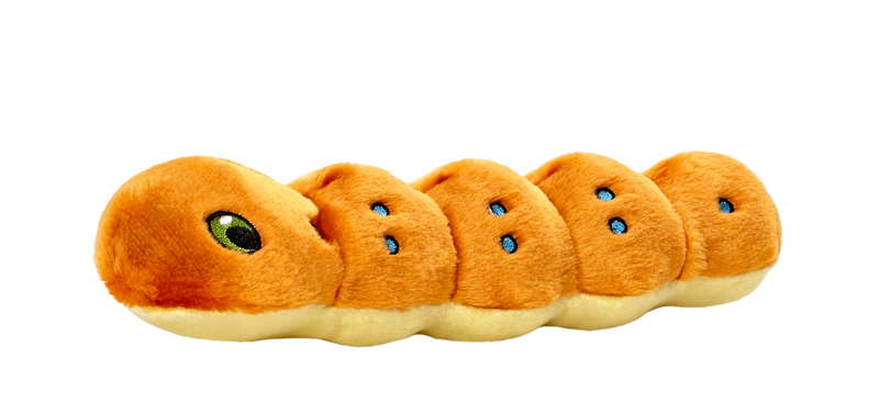Fluff & Tuff Spicy Caterpillar- durable plush toy for dogs