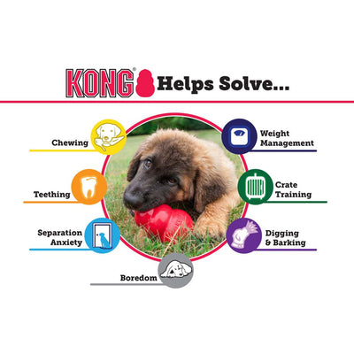 Kong Classic Durable Chew Toy for Dogs