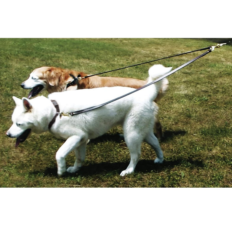No Tangle Nylon 2-Dog Walker- double leash
