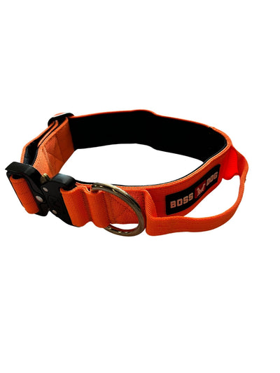 Boss Dog Tactical Dog Collar- safety orange