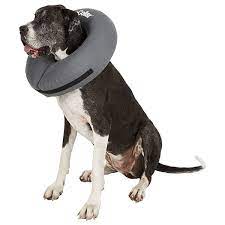 ZenPet ZenCollar Inflatable Recovery Collar for Dogs & Cats