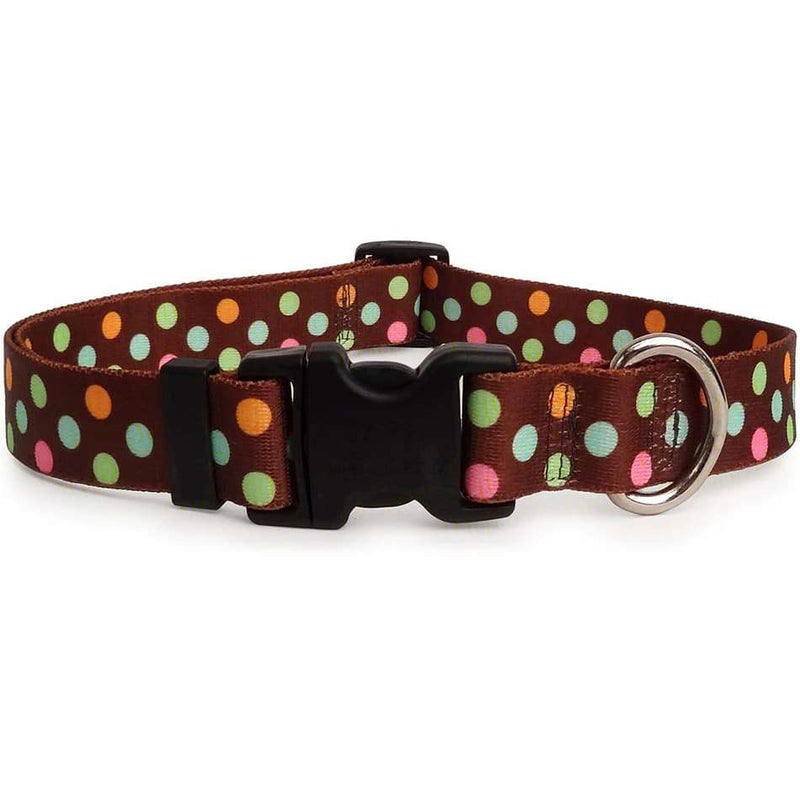 Neopolitan Polka Dot Dog Collar