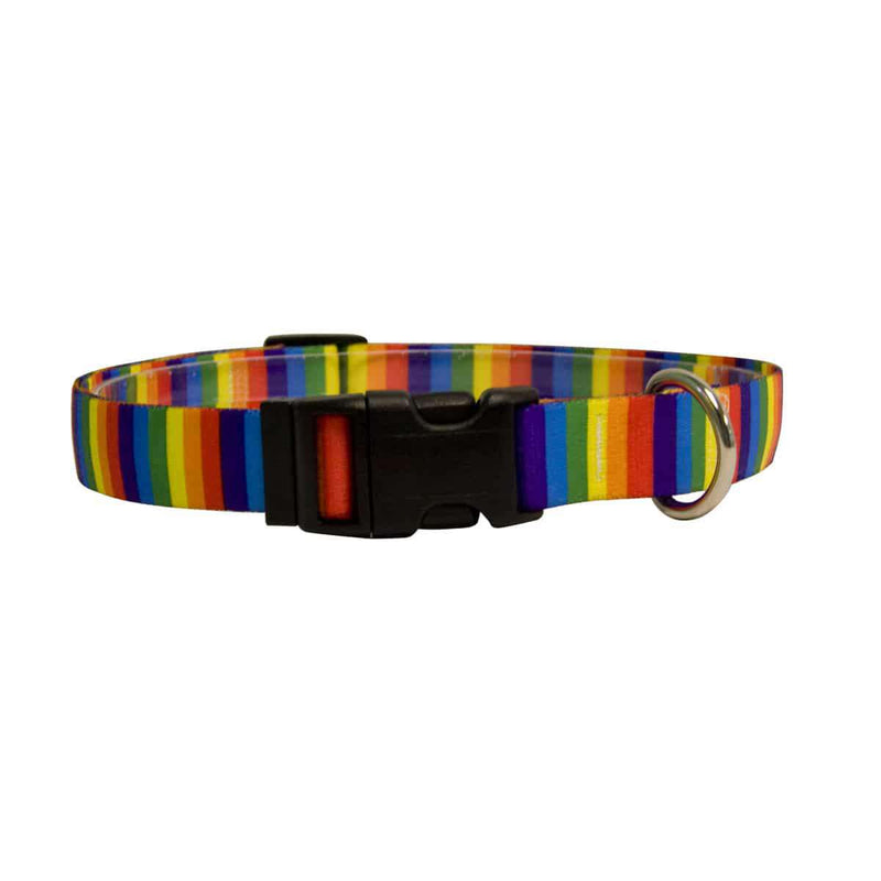 Rainbow Stripe "Pride" Dog Collar