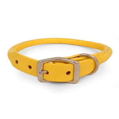 Yellow Rolled Leather Dog Collar- USA made