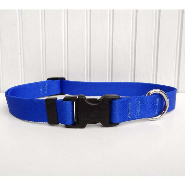 Solid Royal Blue Dog Collar- adjustable or martingale