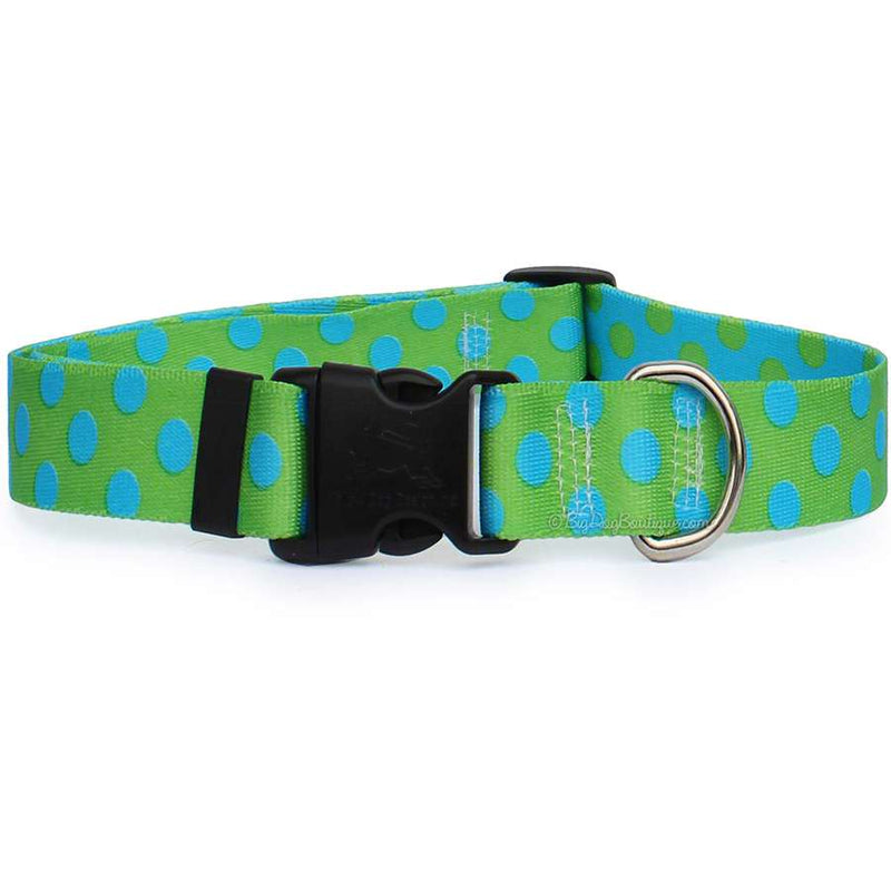 Lime with Blue Polka Dots Dog Collar