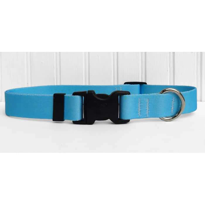 Solid Turquoise Dog Collar- adjustable or martingale