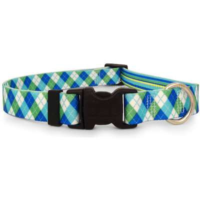 Blue and Green Argyle Dog Collar (adjustable or martingale)