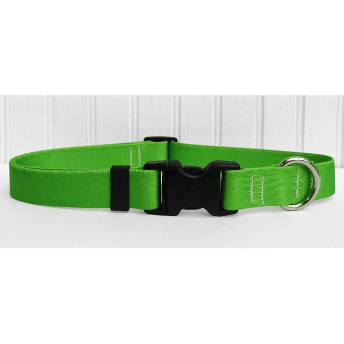 Solid Lime Green Dog Collar- adjustable or martingale