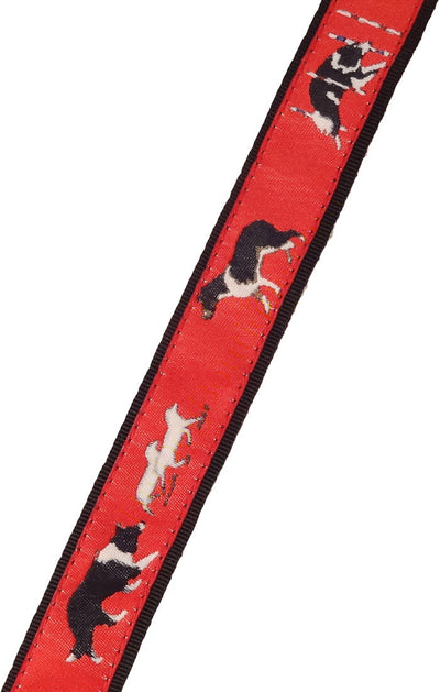 Border Collie Breed Dog Collar or Leash