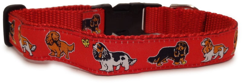 Cavalier King Charles Spaniel Dog Collar or Leash