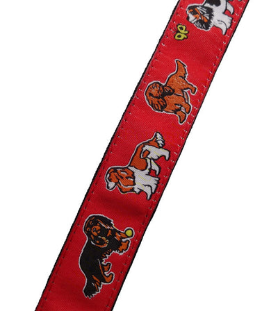 Cavalier King Charles Spaniel Dog Collar or Leash