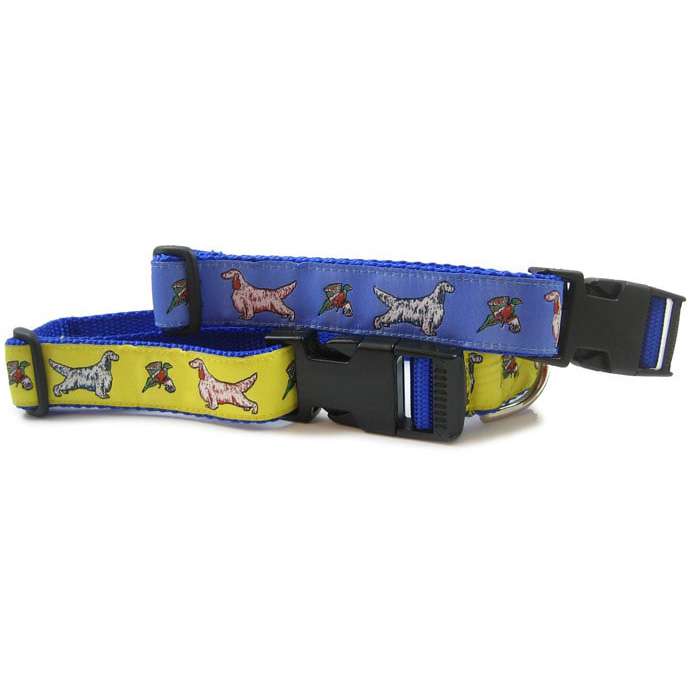 English Setter Dog Collar or Leash