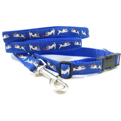 Jack Russell Terrier Dog Collar or Leash