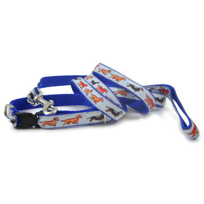 Miniature Dachshund Dog Collar or Leash