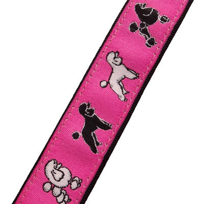 Standard Poodle Dog Collar or Leash- USA made