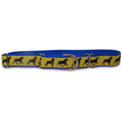 Rottweiler Dog Collar or Leash
