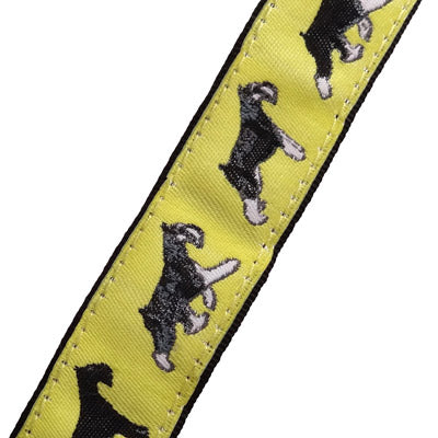 Miniature Schnauzer Dog Collar or Leash