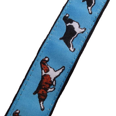 English Springer Spaniel Dog Collar or Leash