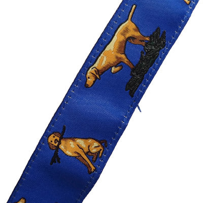 Vizsla Dog Collar or Leash