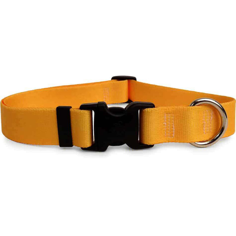 Solid Goldenrod Colored Dog Collar- adjustable or martingale