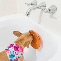 LickiMat Splash for bathtime- interactive bowl for Dogs