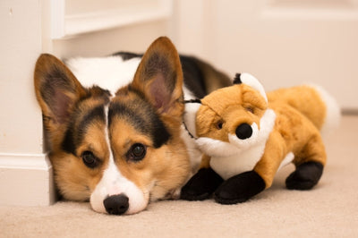 Fluff & Tuff Hendrix Fox- durable plush toy for dogs