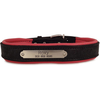 Perri's Black Engraved Padded Leather Dog Collar- with colorful padding- USA made