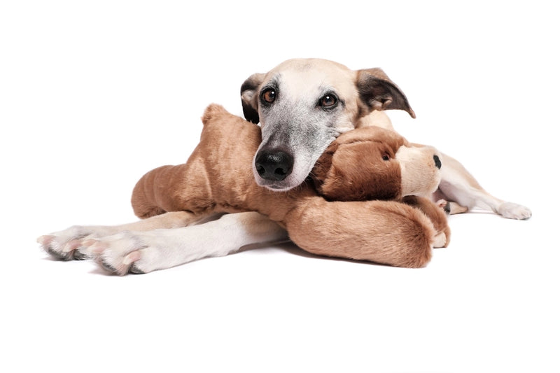 Fluff & Tuff Sadie Bear Plush Large Dog Toy