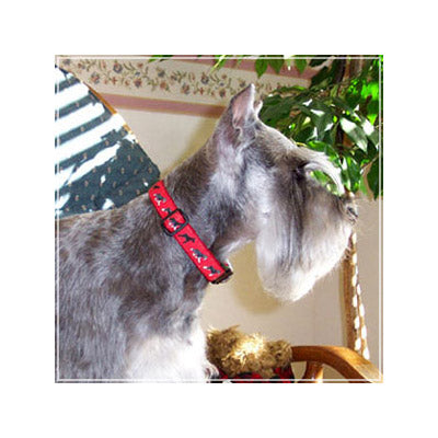 Miniature Schnauzer Dog Collar or Leash