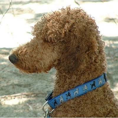 Standard Poodle Dog Collar or Leash- USA made