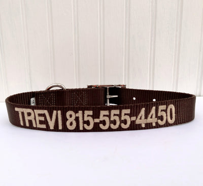 Custom Embroidered Dog Collar- personalized nylon collar- USA made